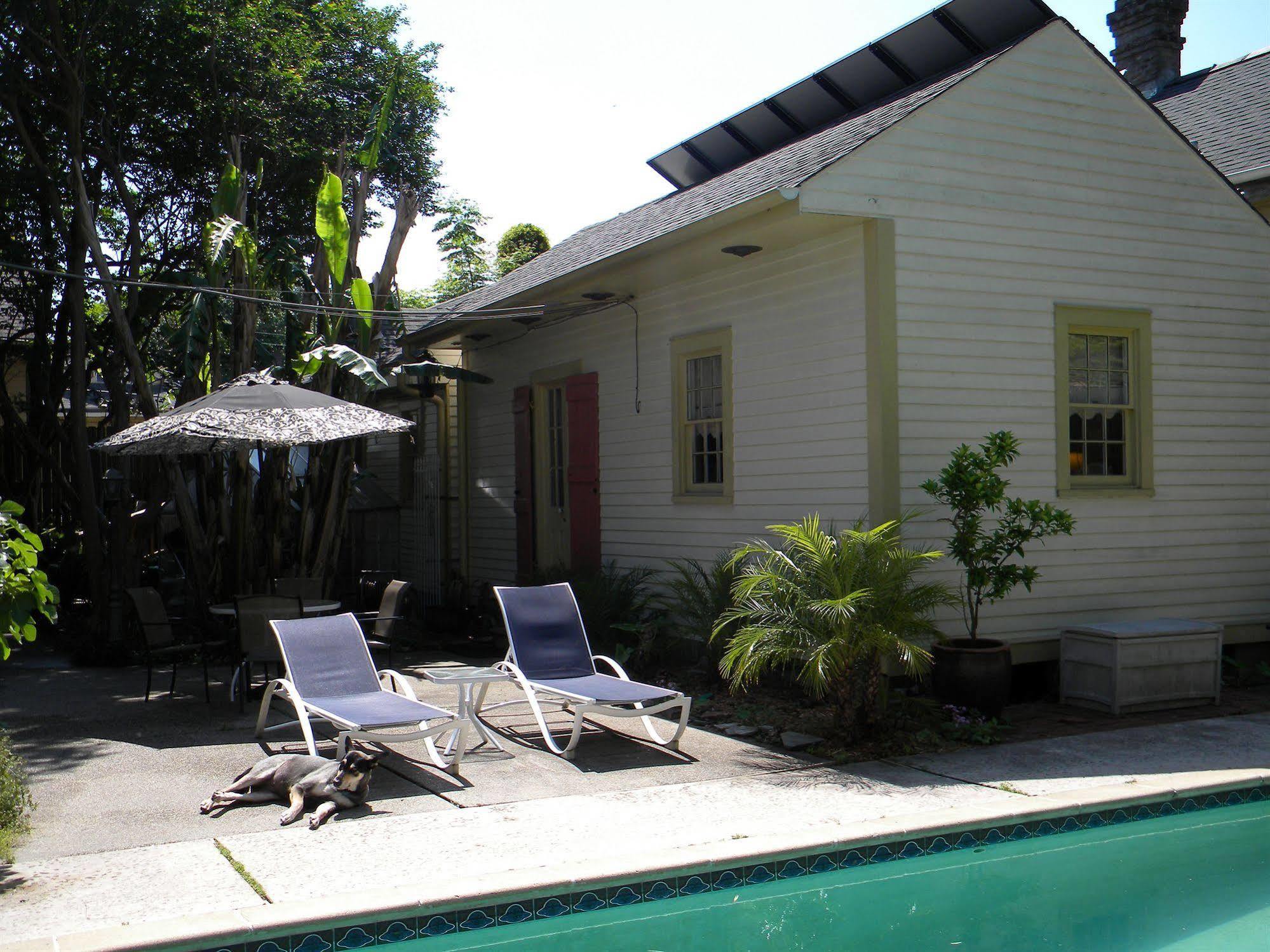 Maison De Macarty Bed & Breakfast New Orleans Ngoại thất bức ảnh